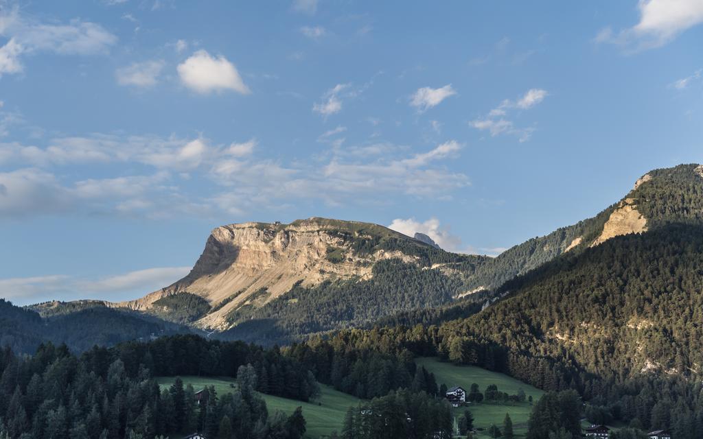 מלון אורטיסיי Rainell Dolomites Retreat מראה חיצוני תמונה